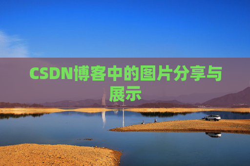 CSDN博客中的图片分享与展示